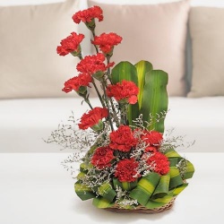 Smarty 12 Carnations Arrangement in Red and Pink...