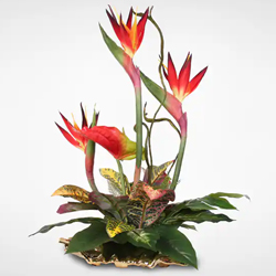 Beautiful bouquet of Birds of Paradise and Anthuriums to Burdwan