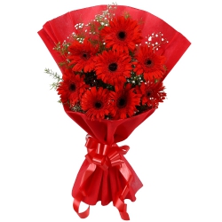 Magnificent Bunch of Gerberas in Red Colour to Uttar dinajpur