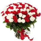 Heavenly Dazzle Red N White Roses Collection...