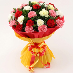 Artistic Expression of Romance Collection...