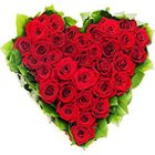 Majestic Hearty Arrangement of Dutch Roses...