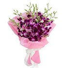 Favorite Collection 8 Orchid Stems Bouquet to Hooghly