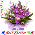 Heavenly Orchids Avengement with free Gulal/Abir P...