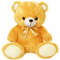 Provocative Stuffed Celebration Special Cream Tedd...