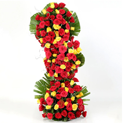Arrangement of 100 vivacious colorful Roses...