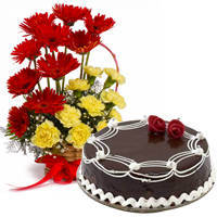 Regal Carnations and Gerberas Arrangement with 1/2 Kg Dark Chocolate Cake to Murshidabad Regal Carnations and Gerberas Arrangement with 1/2 Kg Dark Chocolate Cake to Murshidabad