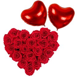 Dutch Red Roses in Heart Shape Arrangement with 2 Heart Shape Balloons to Dakshin dinajpur Dutch Red Roses in Heart Shape Arrangement with 2 Heart Shape Balloons to Dakshin dinajpur