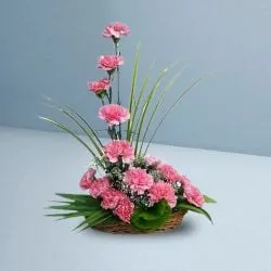 Splendid Basket of 15 Pink Carnations to Cooch behar