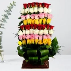 Ravishing 60 Mixed Roses Affairs to Cooch behar