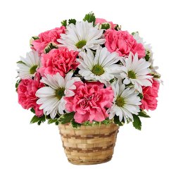 Lovely colorful Flower arrangement in a Bamboo Pot to Salt lake Lovely colorful Flower arrangement in a Bamboo Pot to Salt lake