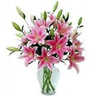 Tender Pink Colored Lilies with Free Vase to Birati Tender Pink Colored Lilies with Free Vase to Birati