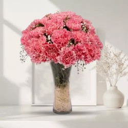 Delicate Vase Decked with 12 Carnations in Pink to Behala Delicate Vase Decked with 12 Carnations in Pink to Behala