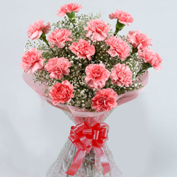 Majestic Bouquet of Carnations in Pink Colour to Lake town Majestic Bouquet of Carnations in Pink Colour to Lake town