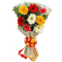 Cheerful Gerberas Bouquet in Beautiful Mixed Colours<br> to Jalpaiguri Cheerful Gerberas Bouquet in Beautiful Mixed Colours<br> to Jalpaiguri