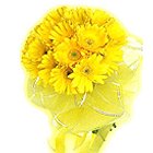 Regal Sunshine Presentation of 15 Gerberas of Yellow Colour to Behala Regal Sunshine Presentation of 15 Gerberas of Yellow Colour to Behala