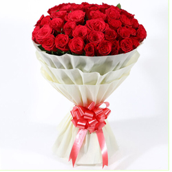 Dazzling Fondest Affections Dutch Roses Premium Bouquet to North 24 parganas Dazzling Fondest Affections Dutch Roses Premium Bouquet to North 24 parganas