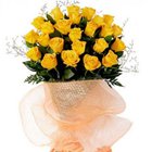 Classic Special Beauty of Yellow Roses Collection to Garia Classic Special Beauty of Yellow Roses Collection to Garia