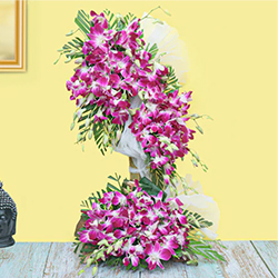 Summer Delight Tall Bouquet of 30 Stems of Orchid to Uttar dinajpur Summer Delight Tall Bouquet of 30 Stems of Orchid to Uttar dinajpur