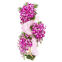 Breathtaking Three-Tier Arrangement of Orchids to North 24 parganas Breathtaking Three-Tier Arrangement of Orchids to North 24 parganas