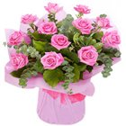 Petite and Attractive Bouquet of Pink Roses to Cooch behar Petite and Attractive Bouquet of Pink Roses to Cooch behar
