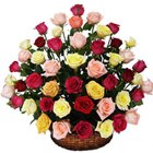 Silky-Smooth Mix Coloured Roses Collection in Basket to Behala Silky-Smooth Mix Coloured Roses Collection in Basket to Behala