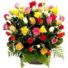 Gorgeous Basket of Mixed Coloured Roses Collection to Burdwan Gorgeous Basket of Mixed Coloured Roses Collection to Burdwan