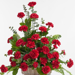 Chic Sweetheart Floral Selection of Red Carnations to Dakshin dinajpur Chic Sweetheart Floral Selection of Red Carnations to Dakshin dinajpur