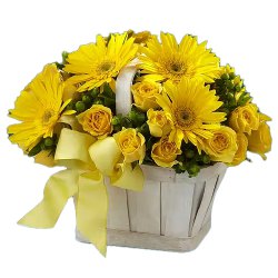 Vivacious Union Gerberas and Roses Arrangement to Dumdum Vivacious Union Gerberas and Roses Arrangement to Dumdum