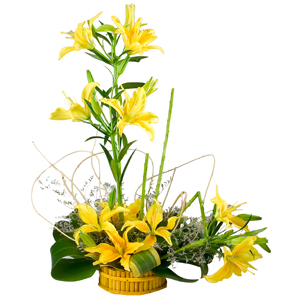 Fragrant 6 Stemmed Yellow Lilies in a Beautiful Cluster Fragrant 6 Stemmed Yellow Lilies in a Beautiful Cluster