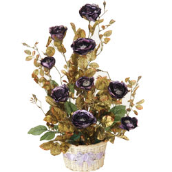 Long Lasting – Purple Rose Plant Long Lasting – Purple Rose Plant