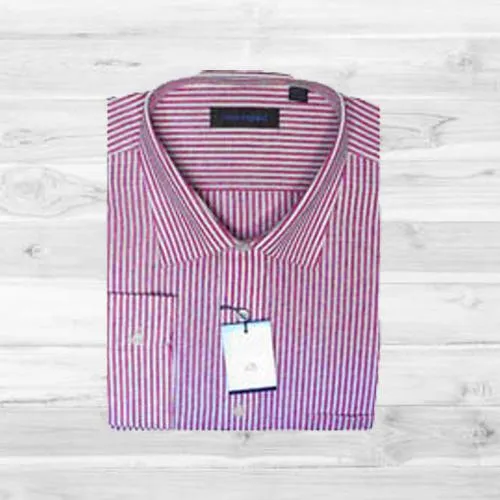 Peter England Striped Shirt (full shirt)