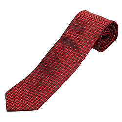 Stylish NeckTie from Zodiac Stylish NeckTie from Zodiac