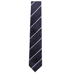 Elegant Tie from Arrow Elegant Tie from Arrow
