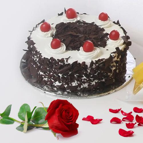 Heavenly Delicious Black Forest Cake and a Fresh Red Rose Heavenly Delicious Black Forest Cake and a Fresh Red Rose