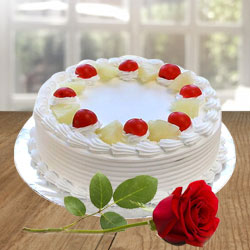 Luxurious Vanilla Cake and a Fresh Red Rose Luxurious Vanilla Cake and a Fresh Red Rose