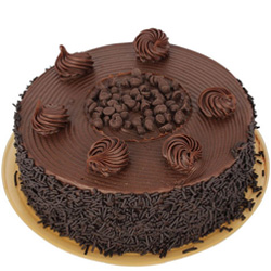 Send Chocolate Cake Online Send Chocolate Cake Online