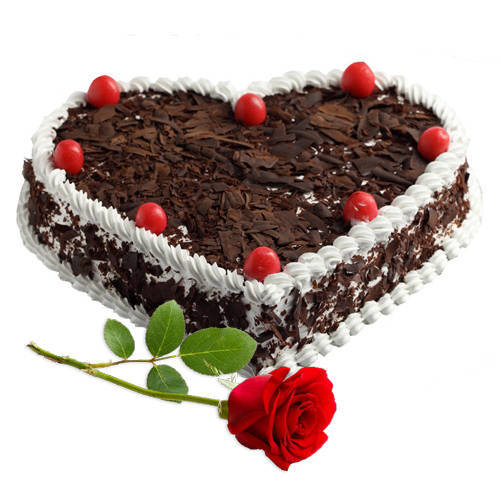 Deliver Combo of Heart Shape Black Forest Cake with Single Rose Deliver Combo of Heart Shape Black Forest Cake with Single Rose