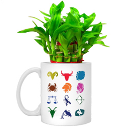 Gorgeous Gift of Sunsign Mug planted with Lucky Bamboo Tree Gorgeous Gift of Sunsign Mug planted with Lucky Bamboo Tree