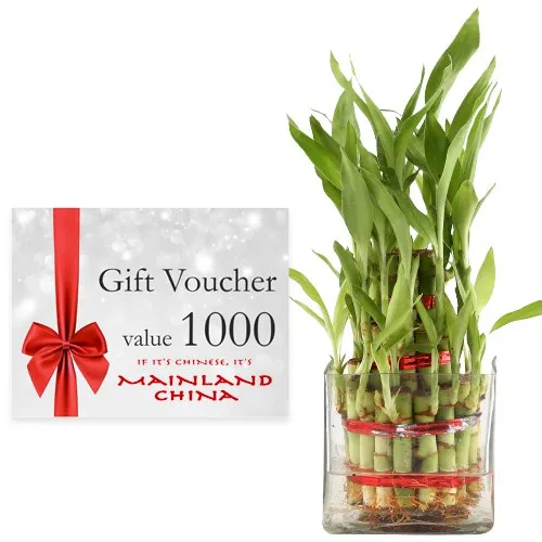 Exciting Combo of Mainland China Gift Voucher worth Rs.1000 with Bowl of Lucky Bamboo