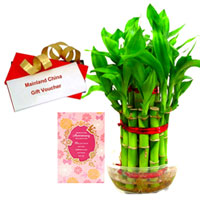 Send online Anniversary Card, Bamboo Plant with Mainland China Gift Voucher Send online Anniversary Card, Bamboo Plant with Mainland China Gift Voucher