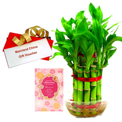 Send online Anniversary Card, Bamboo Plant with Mainland China Gift Voucher Send online Anniversary Card, Bamboo Plant with Mainland China Gift Voucher