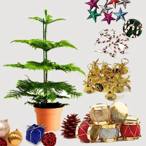 Trendy Christmas Tree with Decoration Gift