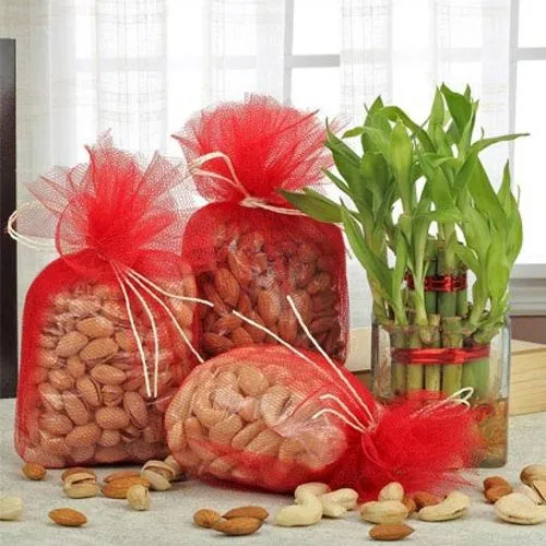 Divine Lucky Bamboo Plant in a Glass Vase with Assorted Dry Fruits