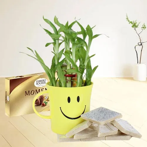 Marvelous Kaju Katli N Ferrero Rocher Moments with 2-tier Bamboo Plant in Smiley Mug