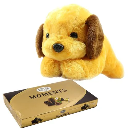 Wonderful Dog Soft Toy N Ferrero Rocher Gift