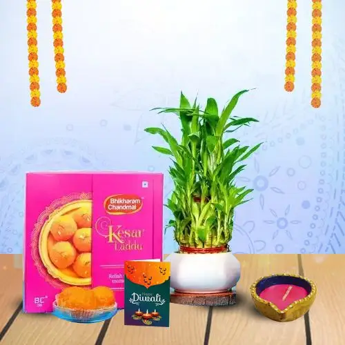 Lucky Bamboo, Sweets And Diwali Wishes
