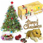 Generous Xmas Gift Combo with Hint of Joy Generous Xmas Gift Combo with Hint of Joy