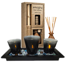 Enchanting New Year Gift Combo Enchanting New Year Gift Combo