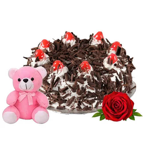 Send Black Forest Cake with Teddy N Red Rose